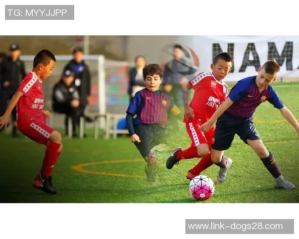 足球元素t的魅力探秘与技术解析助你提升球场表现与战术理解 足球元素t的魅力探秘与技术解析助你提升球场表现与战术理解