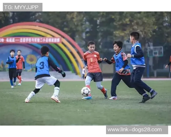 足球歌节奏激荡心潮共舞绿茵场上梦想与激情交织的旋律